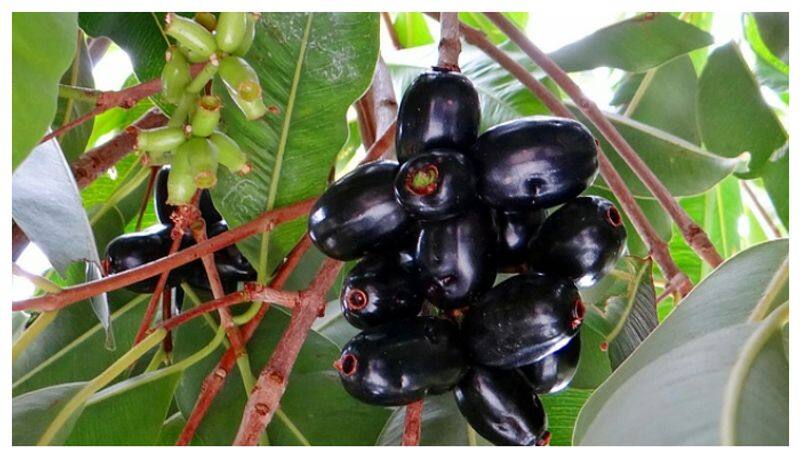 This one fruit is enough to protect your kidneys!