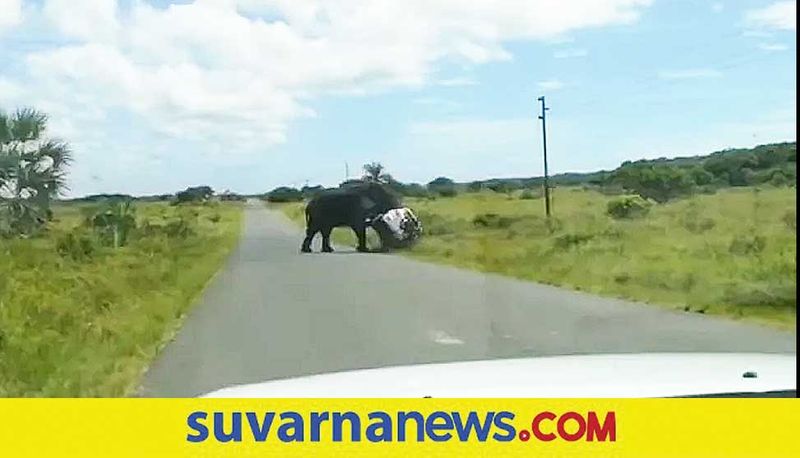 Angry elephant attacked over car with 4 people at South Africa akb