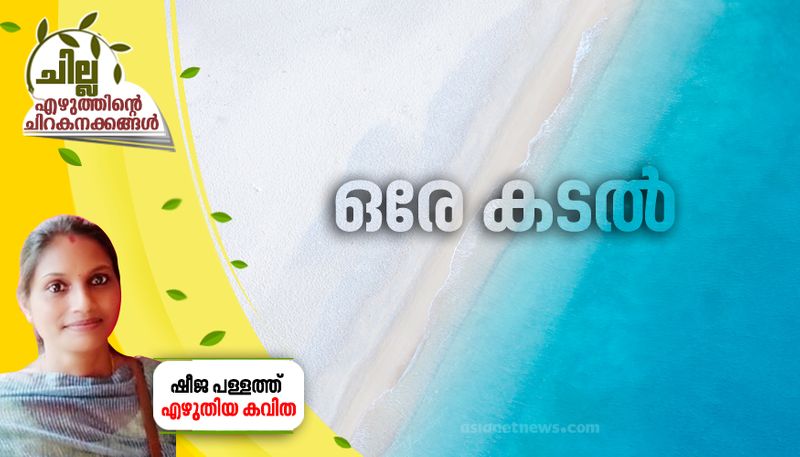 chilla malayalam poem by Sheeja Pallath