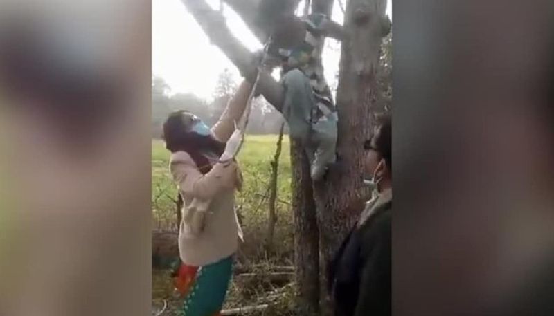 girl climbed upon tree to avoid covid vaccination