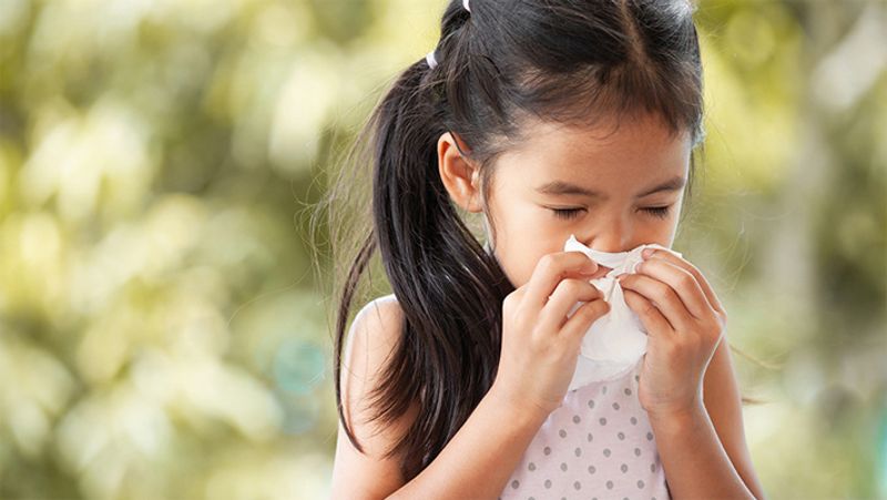 Food Allergy can be the reason for cold in children