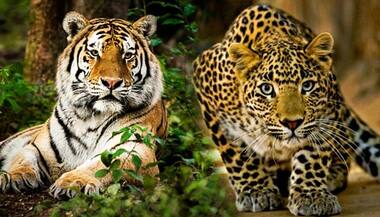 Asianet Image