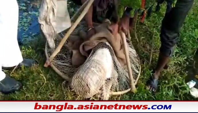 প্লাস্টিকের কৌটোয় মুখ আটকে প্রাণপাতের জোগাড়, স্থানীয়দের চেষ্টায় প্রাণে বাঁচল পথ কুকুর