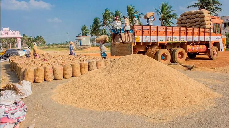 696 LMT of Paddy procured in Kharif Marketing Season