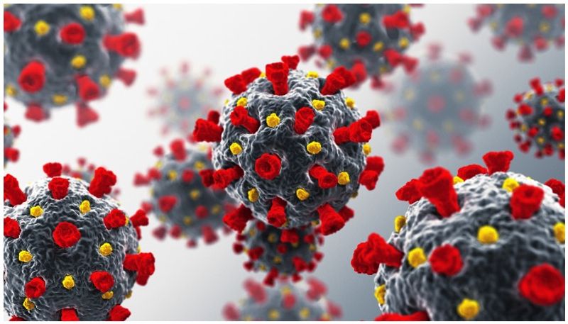 Researchers Predict Fourth Wave of Covid 19 in India around June 22 might Last for 4 Months gvd