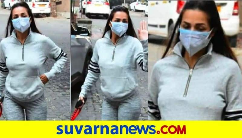 Malaika Arora gets mercilessly trolled for going braless on a morning walk dpl