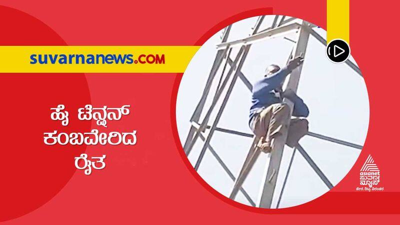 Farmer Climbs Atop High Tension Tower To Protest Against PDO akb