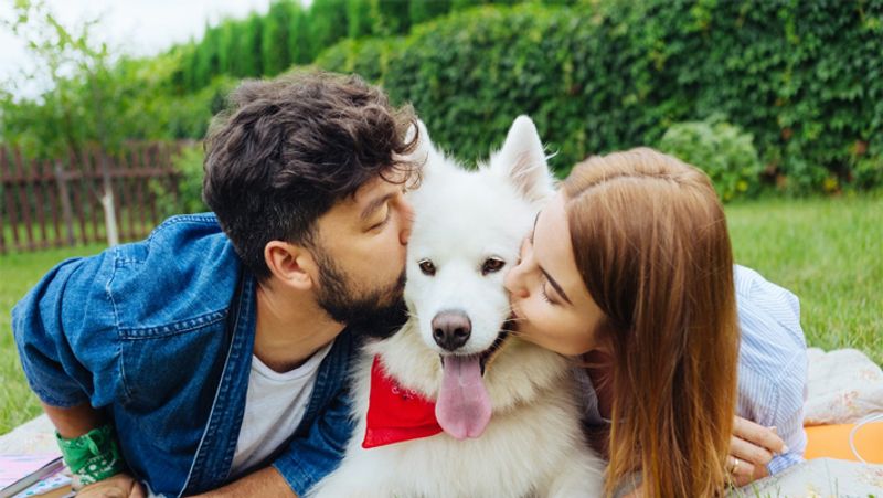 pets will remove your planetary dosha in tamil