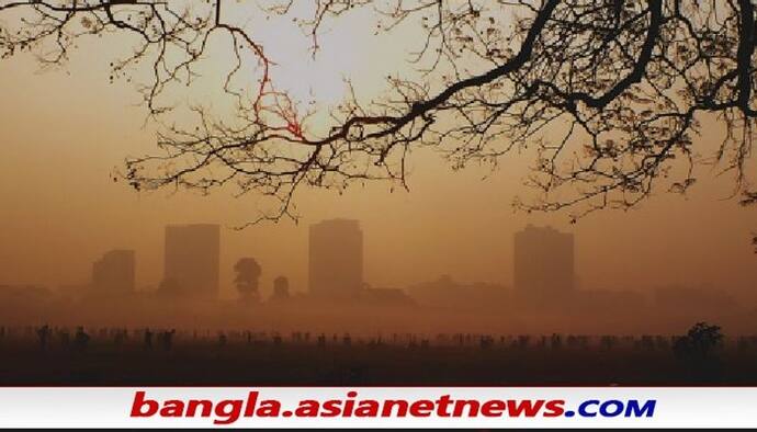 WB Weather: কুয়াশার চাদরে শুরু হল সকাল, এদিনও কি চলবে বৃষ্টি