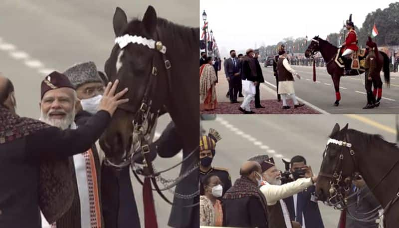 Virat President Ram Nath Kovind Bodyguard Horse retires on Republic day get farewell from PM Modi and Rajnath Singh