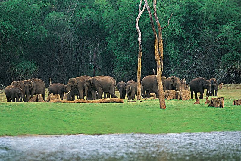 special package for thekkady tourism development