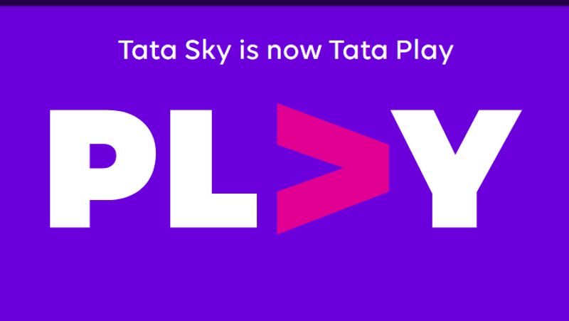 Netflix Is Now Available on Tata Play Through Combo Packs