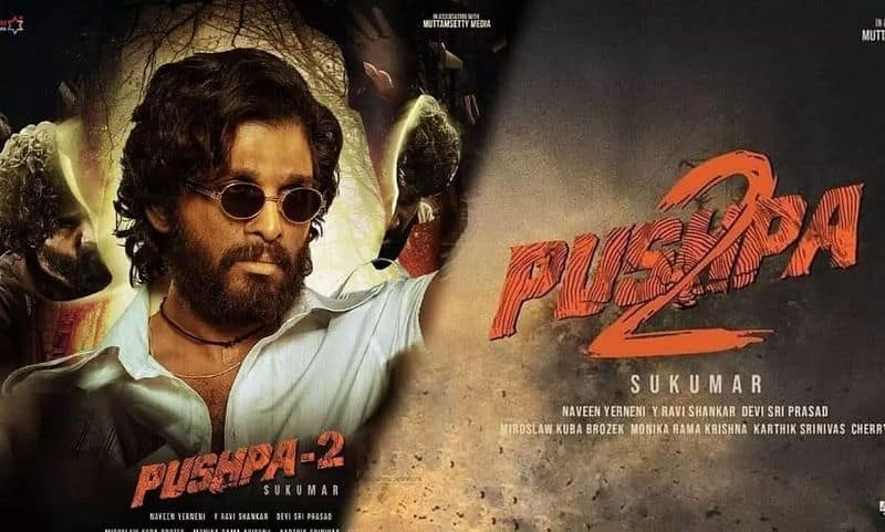 Pushpa 2 may release during summer 2023