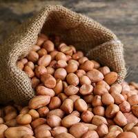 Health Tips: అనారోగ్య సమస్యలు రాకుండా ఉండాలంటే.. వేరుశనగ నూనె బెస్ట్ ఆయిల్!