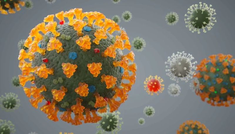 Wuhan Scientists Warn of New Coronavirus Strain NeoCov With High Death