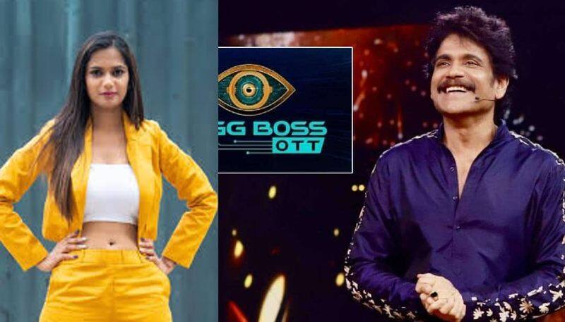 ariyana akhil hariteja in ott biggboss 6 here list