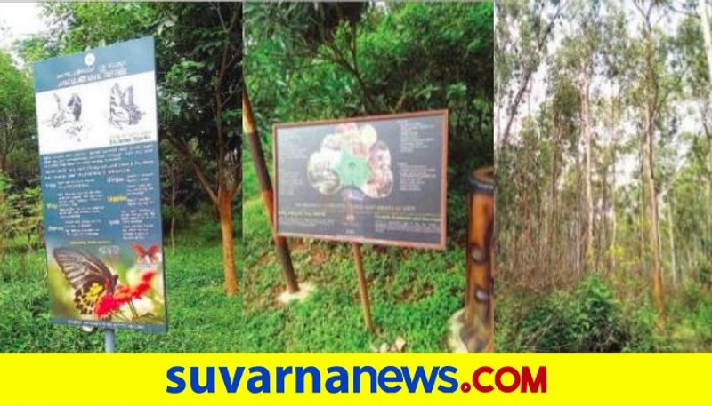 Citizens oppose tree park at Jarakabande Kaval reserve forest Bengaluru mnj