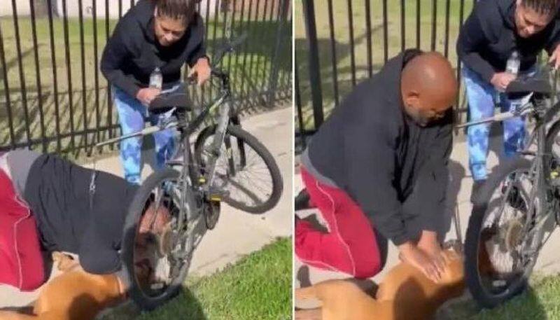 Man performs CPR on dog video went viral