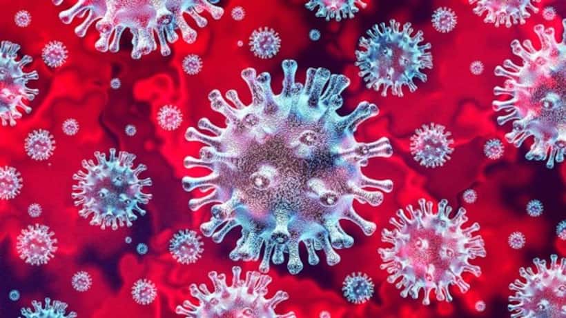 corona virus : కోవిడ్  19 ముగియలేదు. మరిన్ని వేరియంట్లు వచ్చే అవకాశం ఉంది   డ‌బ్లూహెచ్ వో చీఫ్ సైంటిస్ట్..