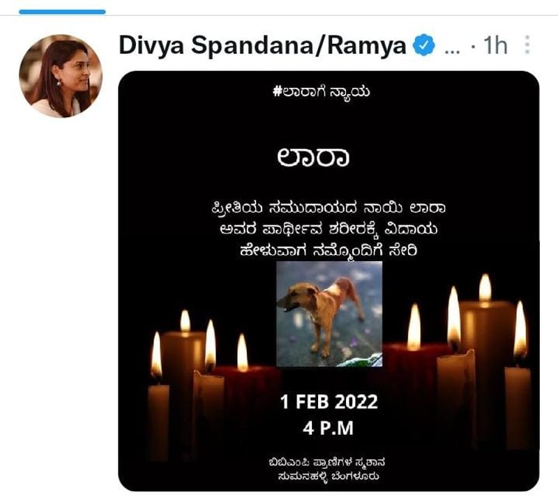 Sandalwood actress  Ramya urges justice for street dog Lara that died Audi accident by Vishnu