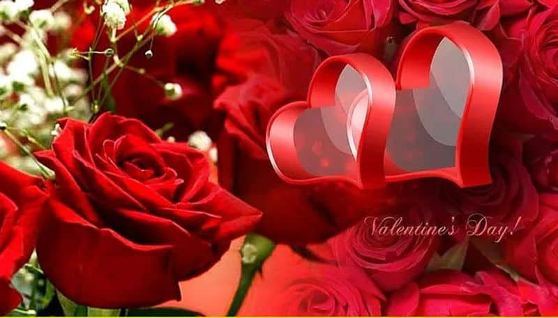 Valentine day:  Significance of Different Colors of Rose flowers