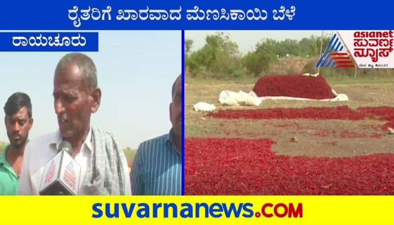 With No Demand in Market, Raichur Chilly Growers in Distress gvd