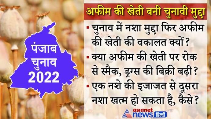 Inside Story : पंजाब चुनाव में अफीम की खेती क्यों बन रही चुनावी मुद्दा, नशामुक्त प्रदेश के लिए ये कैसी डिमांड