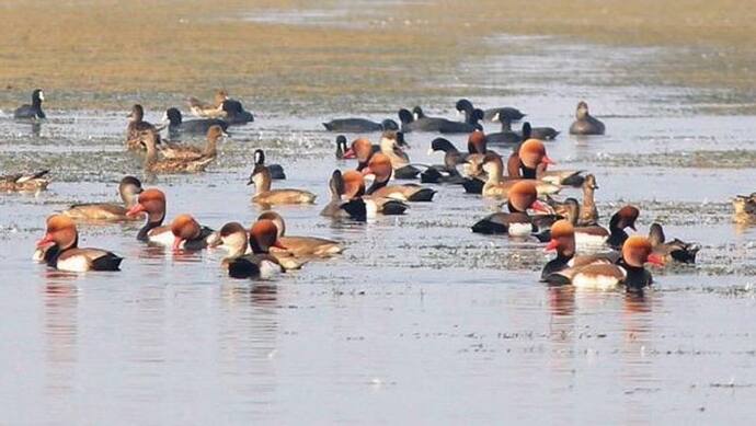 भारत में अंतरराष्ट्रीय महत्व के 2 और आर्द्रभूमि होने से रामसर स्थलों की संख्या 49  पहुंची, जानिए पूरी कहानी