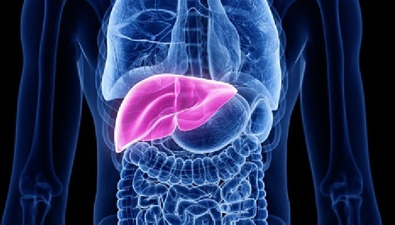 Studies show that this diet reduces the risk of liver cancer