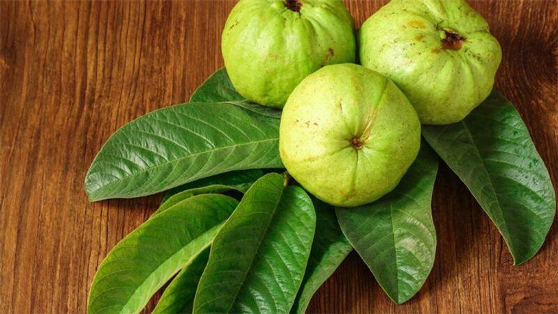 how guava leaves improve fertility rsl