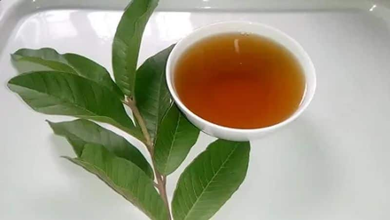 Guava Leaves benefits Guava Leaves tea