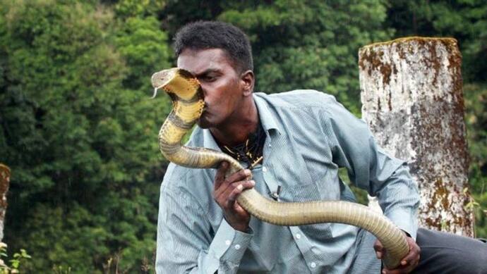 Viral Video: Snake Man वावा सुरेश की हालत में सुधार, ICU से वार्ड में हुए शिफ्ट, इन्हें 300 बार काट चुके सांप