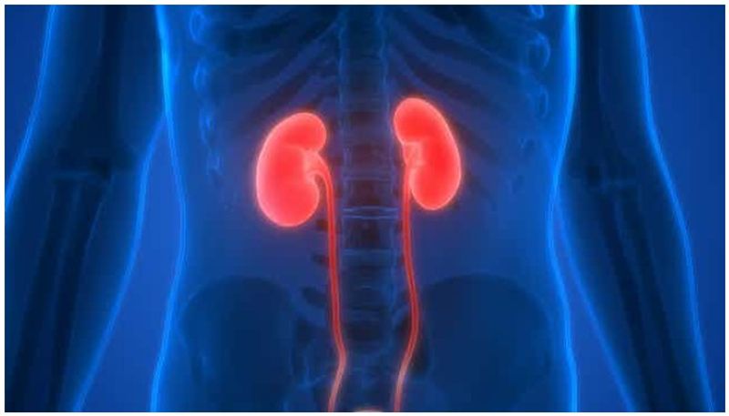 Tips to Protect Your Kidney healthy