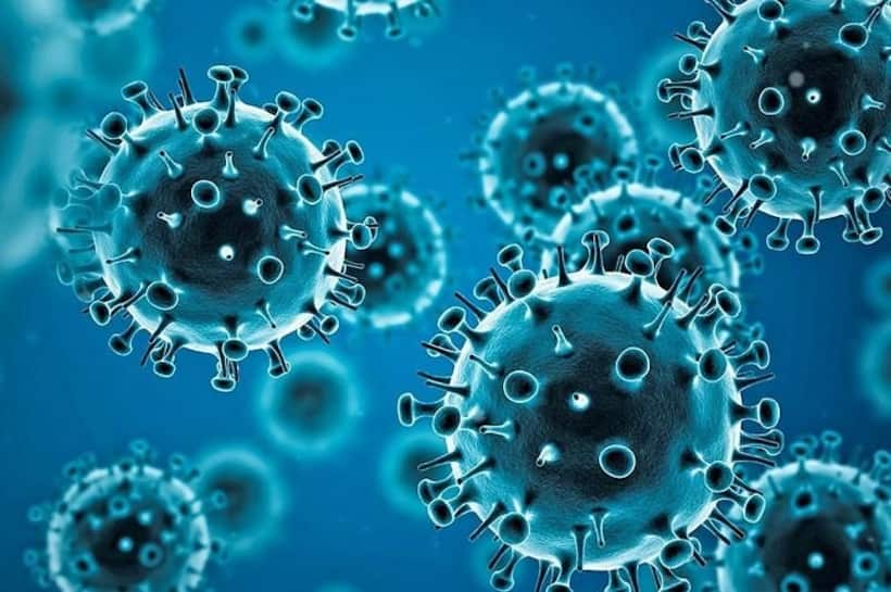 corona virus : క‌రోనా వైర‌స్ వుహాన్ ల్యాల్ లో పుట్టిందా ? డ‌బ్లూహెచ్ వో శాస్త్ర‌వేత్త ఏమ‌న్నారంటే ?