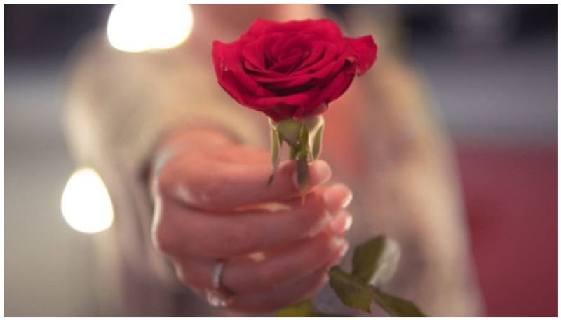 Rose Day Wishes and  quotes