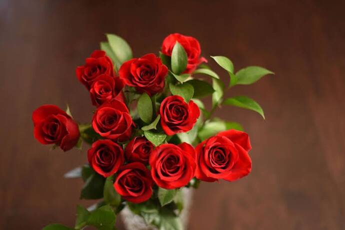 happy rose day 2022