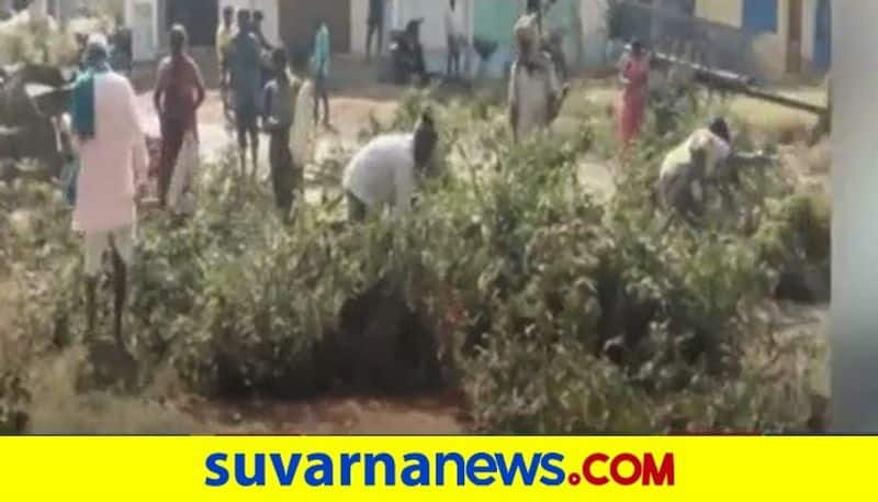 200 Trees To Face Axe for 5 Km Road Widening in Dharwad hls