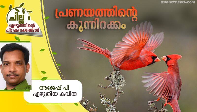 chilla malayalam poem by Ajesh P