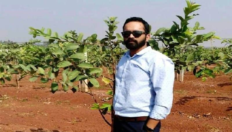 man earns lakhs from guava farming