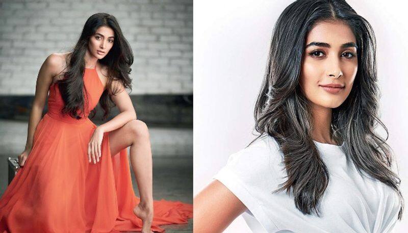 Pooja Hegde Special Song in Bollywood Movie