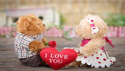 Teddy Day 2022: हर रंग के टेडी बियर का होता है अलग मतलब, भूलकर भी पार्टनर को ना दें ये गिफ्ट