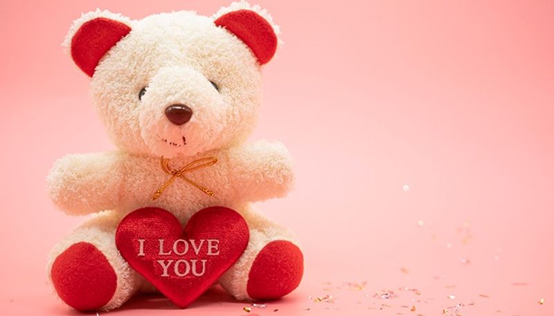 Happy Teddy Day 2022: WhatsApp status, quotes , messages and wishes drb