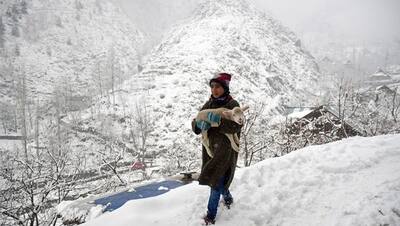 Weather Report: एक-दो दिन में बदलेगा मौसम का मिजाज, लेकिन फिलहाल सर्दी और कोहरे से नहीं मिलेगी निजात