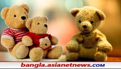 Teddy Day, উপহার দেওয়ার আগে জেনে নিন বিশ্বের সবচেয়ে ৫ দামী টেডি সম্পর্কে