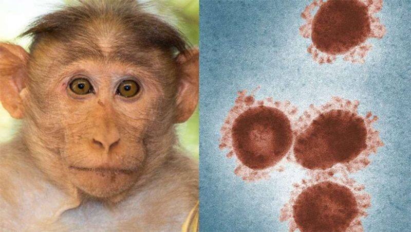 31 cases of monkey fever reported in karnaktak in last 15 days what are the symptoms Rya