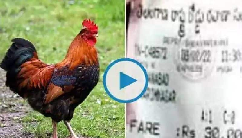 Rooster charged Rs 30 ticket fare