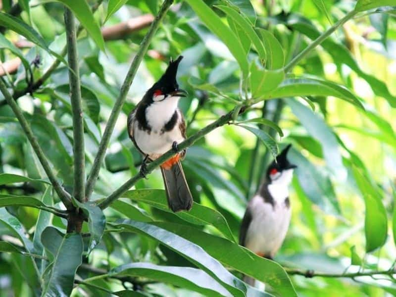 Notes of harmony an eco friendly living experience by Basheer Ahmed