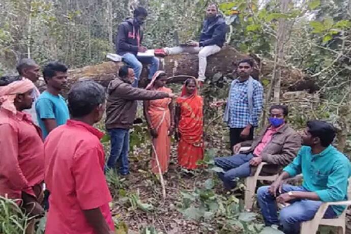 छत्तीसगढ़ के इस गांव में पेड़ पर बन रहा आयुष्मान कार्ड, दो किमी पैदल चल पहुंचते हैं ग्रामीण,वजह जान चौंक जाएंगे