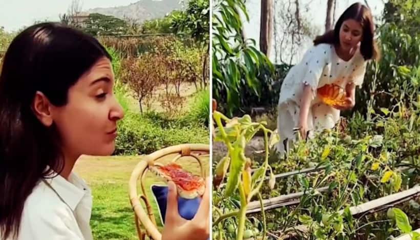 Want to learn how to make a tomato jam? Here’s Anushka Sharma teaching you to make one; watch
