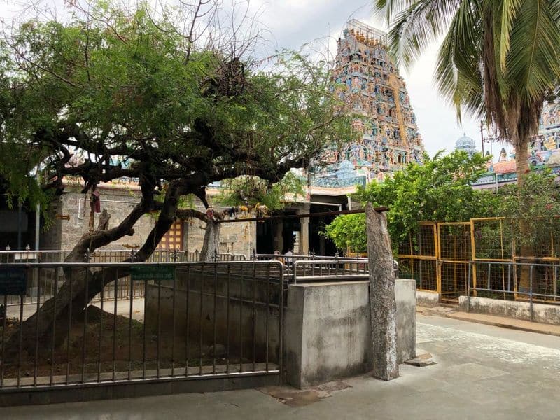 Thiruporur murugan temple festival